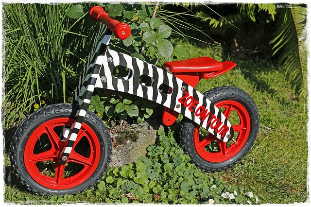 zaparkované odrážedlo